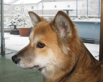 �U�����������`����