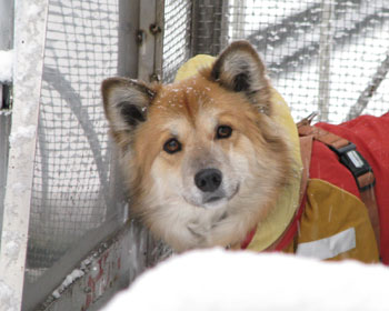 ���悵�ă��t�g�ɏ���čÑ�