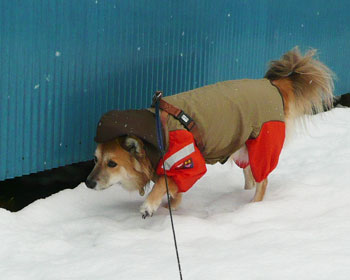 �ߌ�͔L�T��