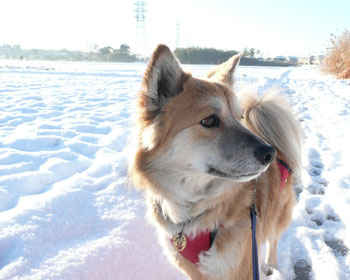 �����͐��ꂽ