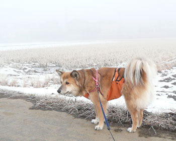 ���̎��̒��͔Z��������