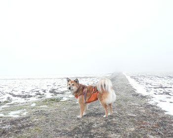 �悪���񂺂񌩂��Ȃ���