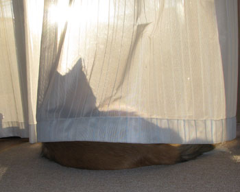 �U���ƒ��H�̂��Ƃ͂ЂȂ��ŋx��