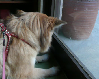 ���Ԃ�T��