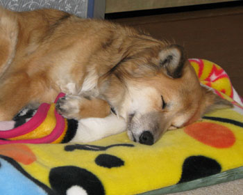 �����Ŗ�������ĐQ��