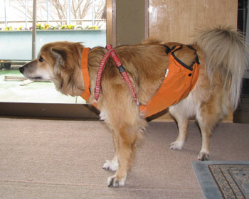 �v�X�̉J�オ��ł����܂�