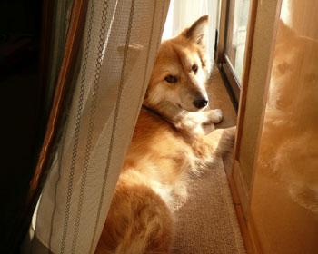 ��������������������