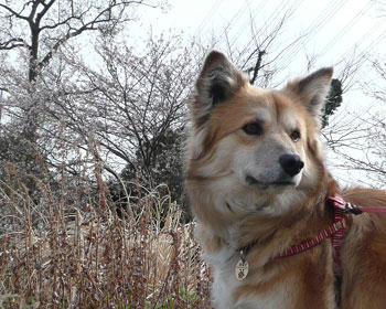 ���͂܂�����ڂ�