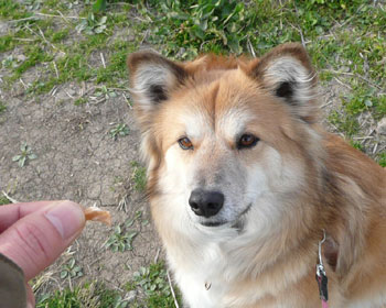 �������ˁH