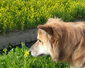 �j�I�C������