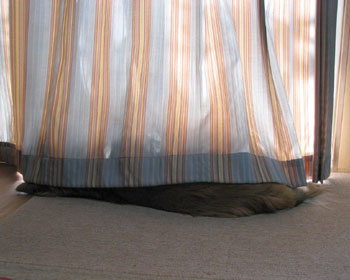 �ł�����������