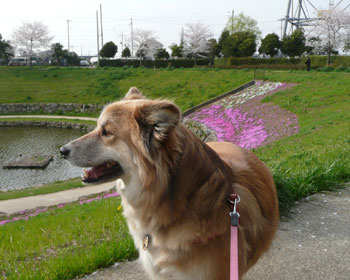 ���߂Ă̏ꏊ�͗��������Ȃ�