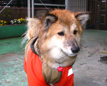 �܂���J�ŉ�������