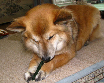 ����������