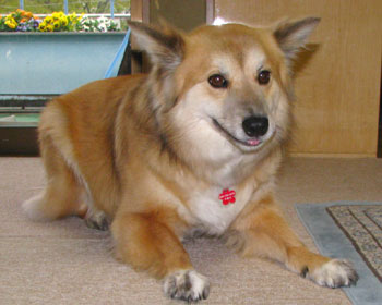 �����Ƃ�������