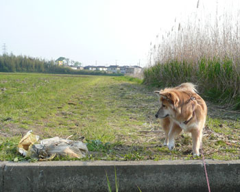 ������A�Ȃɂ�����I