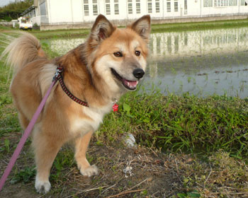 �c�A�����ς񂾂�