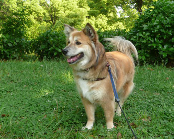 ���N�`���Ȃ̂ŕa�@�ׂ̗̌�����