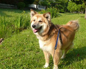 �ł����������a�@���Ȃ��Ȃ�񂾂�