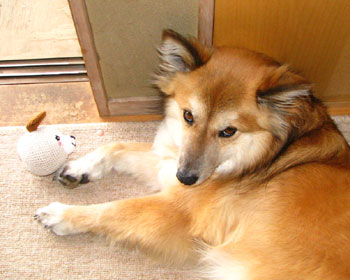 �����Ȃ��Ă�