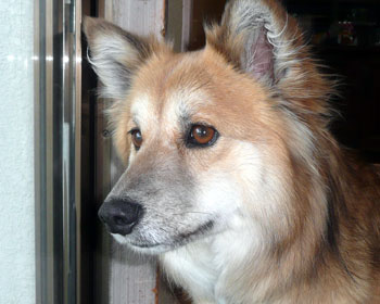 �������ɂ��Ă݂�