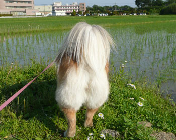 ���悢�您�K���T�}�[�J�b�g��