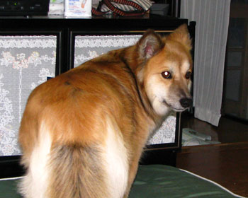 ���т�����ŐU�����