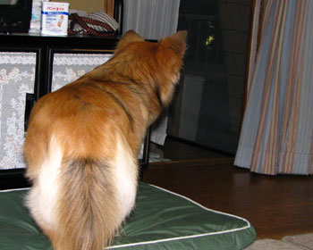 ���|����