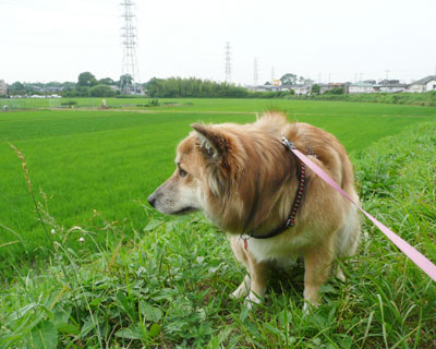 ���N����͏�������