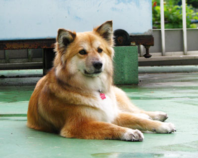 �U�����Ƃ̋x�e