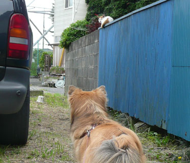 �����͔L�������񂾂�