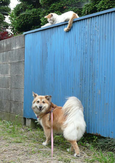 ���傤�����Ȃ��݂�������