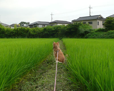 �L�ɓ�����ꂽ����