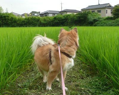 ���x���U��Ԃ�