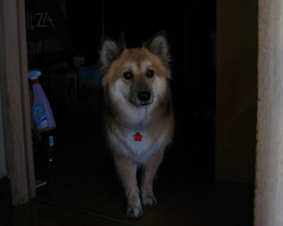 ���Ɖԉ΂Ɣ��|�����킢