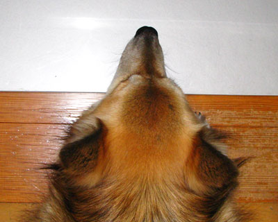 ����ȋ��S�n�̈����ꏊ�͂n�j