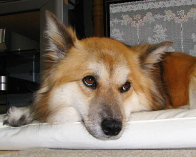 ���܂���Ȃ��Ă��x�b�h���Ȃ��ƕs���炵��