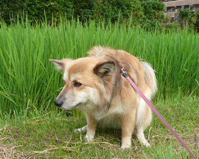 ���񂺂�J���~��Ȃ����ǁA��͌��C����