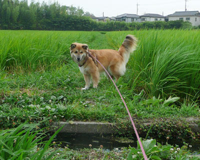 �������킢