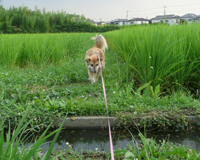 ��������ȂĂ�