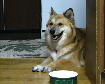 �Ă̓p���̋G��