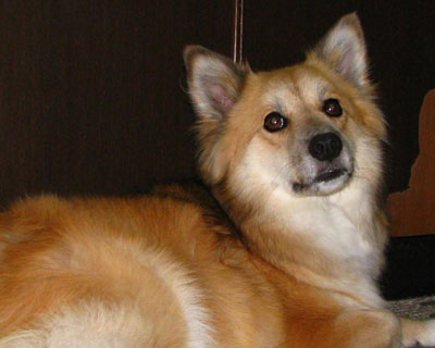 �r�r������