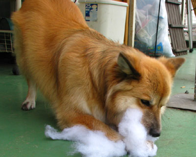 �Ȃ��y����