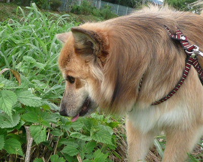 �Ή��F��؂�����������