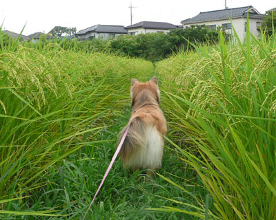 �L����������