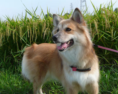 �܂��������ǁA����̏H