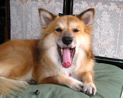 �����u���ꂽ�������͂Ȃ�