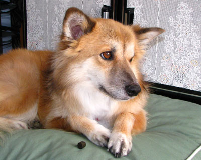 ���͖��ɂ��邳��