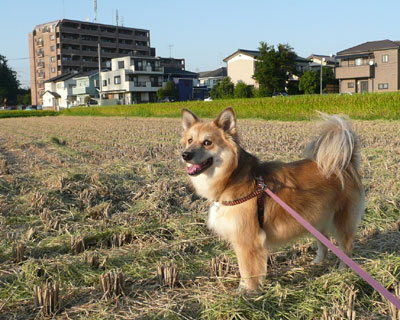 �����肪�n�܂���