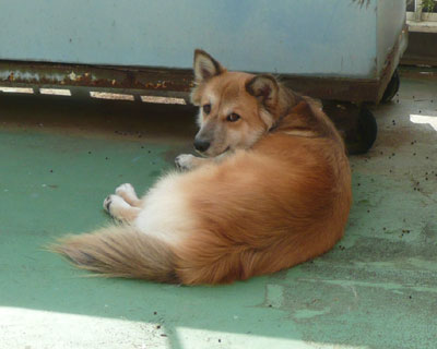 �܂����A�����ꂵ���G��